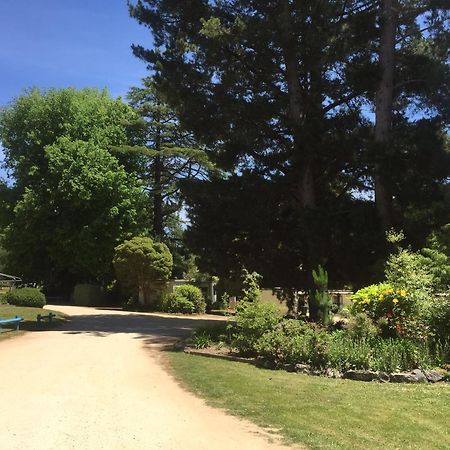 Daylesford Holiday Park Luaran gambar