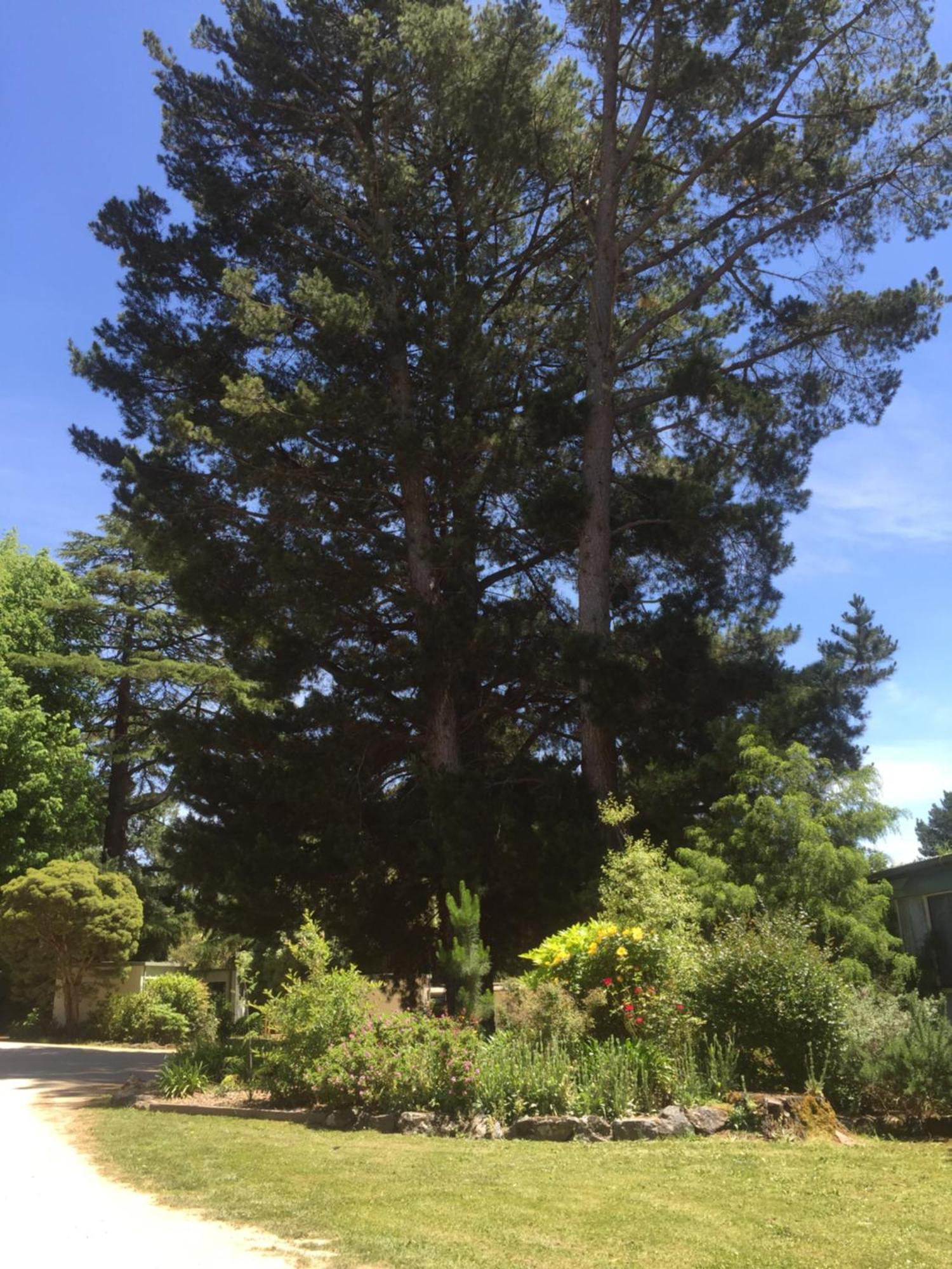 Daylesford Holiday Park Luaran gambar